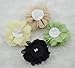 Cloris 14pcs Assorted Colors Handmade Mini Chiffon Flowers for DIY Headbands Clips