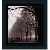 Black And White Morning By Harold Silverman Art Print Poster Picture Framed Decor 10X10 by Framed Art Tilliams