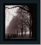 Black And White Morning By Harold Silverman Art Print Poster Picture Framed Decor 10X10
