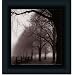 Black And White Morning By Harold Silverman Art Print Poster Picture Framed Decor 10X10