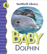Baby Dolphin