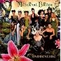 Mediaeval Baebes - Undrentide
