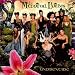 Mediaeval Baebes - Undrentide