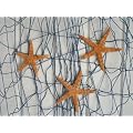 Sparset 20� Maritime Deko 1 x Fischernetz blau 400 x 200 cm & 1 x DREI echte Seesterne flach