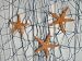 Sparset 20° Maritime Deko 1 x Fischernetz blau 400 x 200 cm & 1 x DREI echte Seesterne flach
