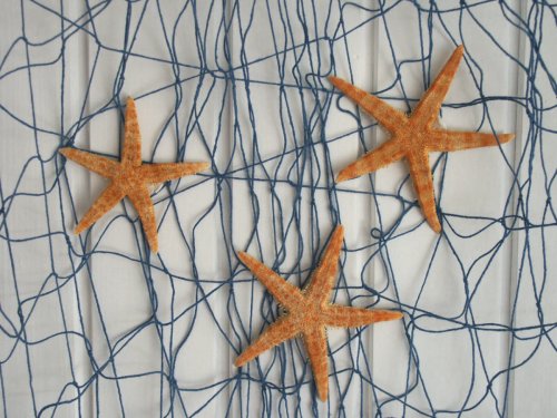 Sparset 20° Maritime Deko 1 x Fischernetz blau 400 x 200 cm & 1 x DREI echte Seesterne flach