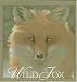 Wild Fox: A True Story