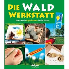 Die Wald-Werkstatt: Spannende Experimente in der Natur