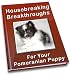 Housebreaking Breakthroughs For Your Pomeranian Puppy