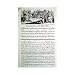 Reading And Writing Poster Print