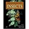 Forensic Entomology