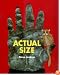 Actual Size (Bccb Blue Ribbon Nonfiction Book Award (Awards))