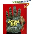 Actual Size (Bccb Blue Ribbon Nonfiction Book Award (Awards))