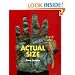 Actual Size (Bccb Blue Ribbon Nonfiction Book Award (Awards))