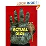 Actual Size (Bccb Blue Ribbon Nonfiction Book Award (Awards))