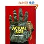 Actual Size (Bccb Blue Ribbon Nonfiction Book Award (Awards))