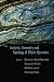 Books : Analysis, Geometry And Topology of Elliptic Operators: Papers in Honer of Krysztof P