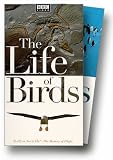 The Life of Birds