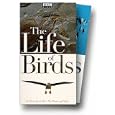 Buy The Life of Birds
