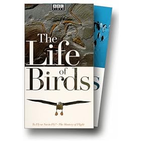 Buy The Life of Birds now!