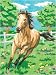 Pencil By Number Kit 9X12-Horse In A Field