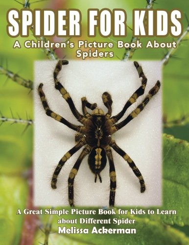 Spiders for Kids: A Children's Picture Book About Spiders: A Great Simple Picture Book for Kids to Learn about Different Spiders