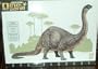 Dinosaur Series Apatosaurus Highly Detailed Vinyl Model Kit