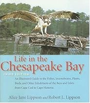 Life in the Chesapeake Bay