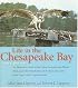 Life in the Chesapeake Bay