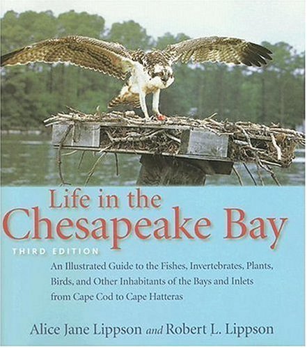 Life in the Chesapeake Bay under General in The Books Store