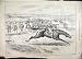 1892 Horse Racing Wrong Way Race-Course Jockey Print