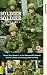 Video : Soldier Soldier - Series 6 - Part 2 [UK IMPORT]