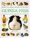 Guinea Pigs