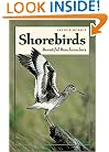 Shorebirds: Beautiful Beachcombers