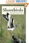 Shorebirds: Beautiful Beachcombers