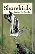 Shorebirds: Beautiful Beachcombers
