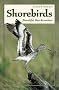 Shorebirds: Beautiful Beachcombers