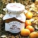 Fruit Preserves - Seville Bitter Orange Marmalade w/ Chocola