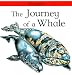 The Journey of a Whale (Lifecycles)