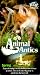 VHS : Animal Antics - Spring