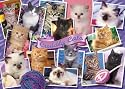 Ravensburger Puzzle - Cuddly Cats (1000 pieces)