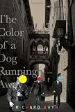 The Color of A Dog Running Away