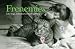 Frenemies: Cats, Dogs, and Lessons in Getting Along