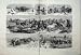 1881 Wild Horses Puszta Hungarian Heath Country Art