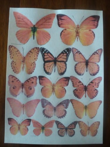 15 ORANGE Small Medium & Large Edible Butterflies Assorted Set - Cake Decorations, Cupcake Topper - NEED TO BE CUT OUT