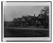 Historic Print (L): [Exterior view of houses along unpaved street in Georgia]