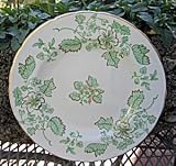 Review Royal Crown Derby  / Royal Crown Derby dinner plate gold trim green Aves