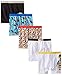 Lego Little Boys' LEGO Movie 5 Pack Boxer Briefs, Assorted, 4