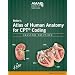 Netter's Atlas of Human Anatomy for CPT Coding, Second Edition