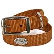 University of Texas - Burnt Orange Nylon Dog Collar - Collegiate Series